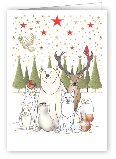 Quire Minikort plastet