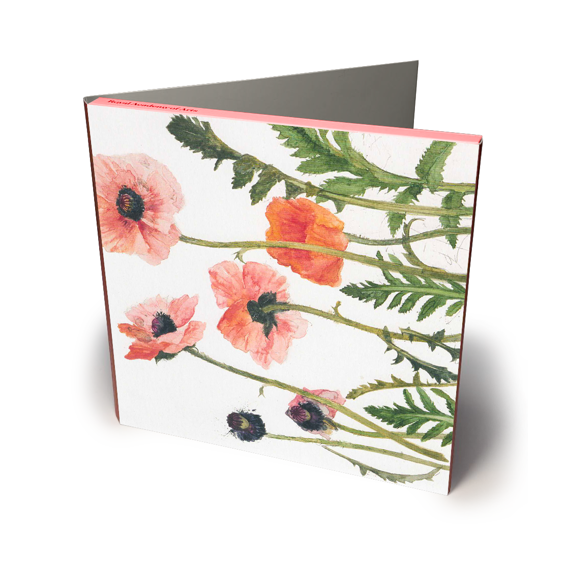 Artpress Kortmappe  16x16cm