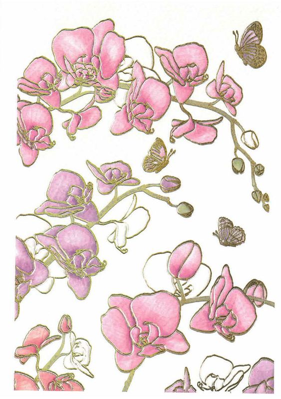 Quire 12x17 Classic Doble 6 pakk