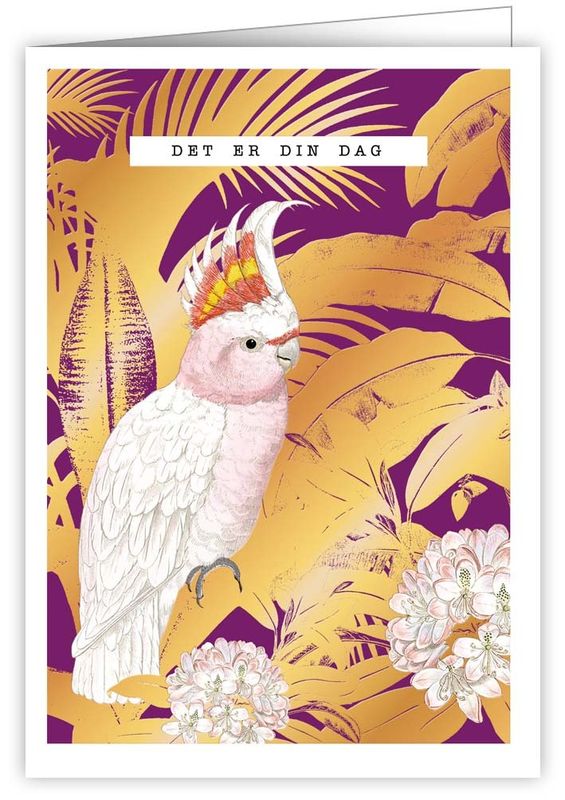 Quire 12x17 Doble kort 6 pakk