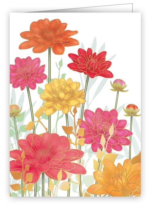 Quire Minikort plastet