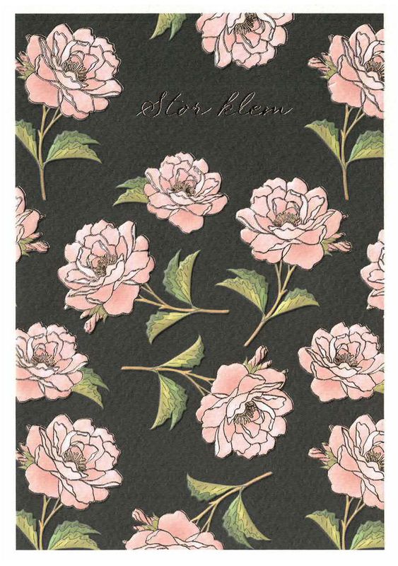 Quire 12x17 Classic Doble 6 pakk