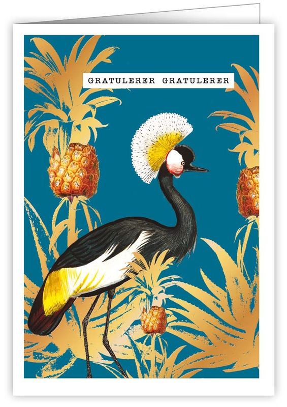 Quire 12x17 Doble kort 6 pakk