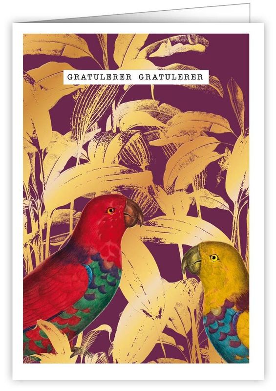 Quire 12x17 Doble kort 6 pakk