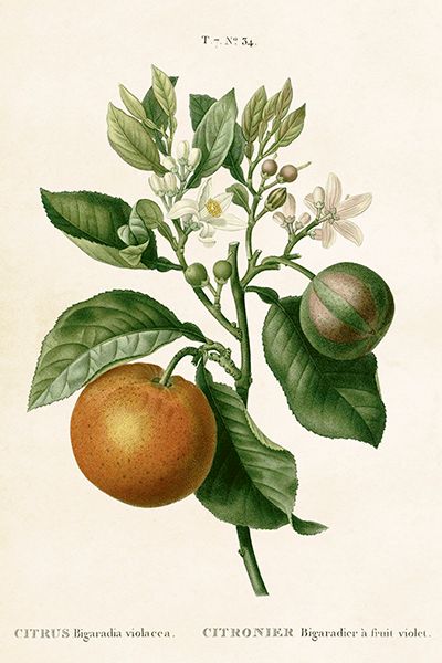 Sköna Ting enkle kort 25-pakk