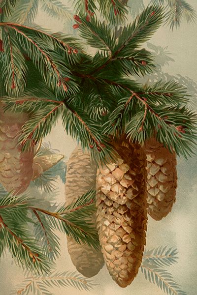 Sköna Ting enkle kort 25-pakk