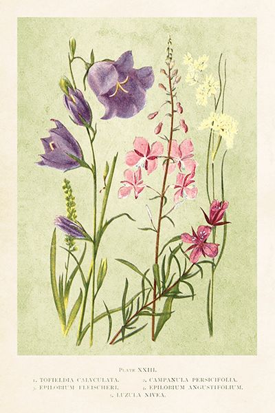 Sköna Ting enkle kort 25-pakk