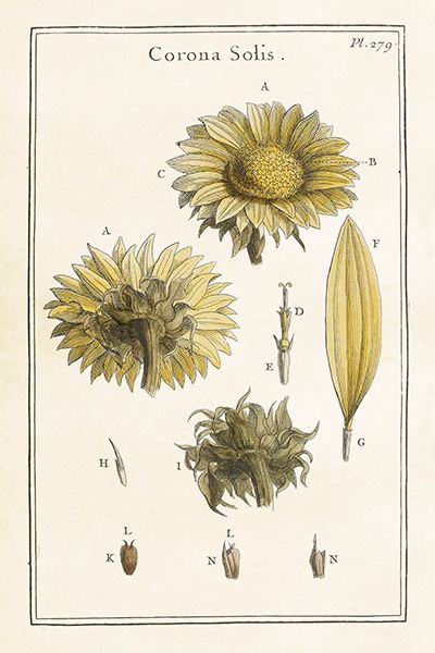 Sköna Ting enkle kort 25-pakk