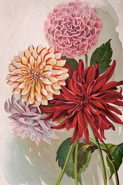 Sköna Ting enkle kort 25-pakk