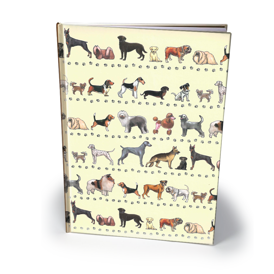 Quire Notatbok A4 Linjert