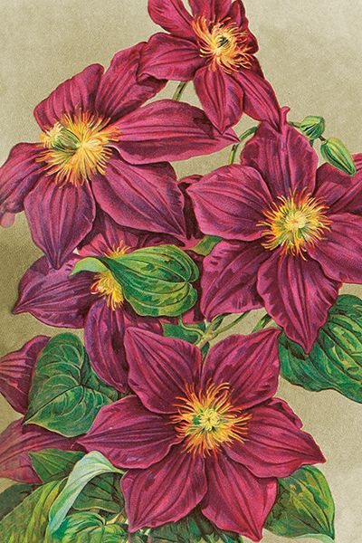 Sköna Ting enkle kort 25-pakk