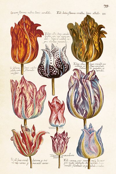 Sköna Ting enkle kort 25-pakk