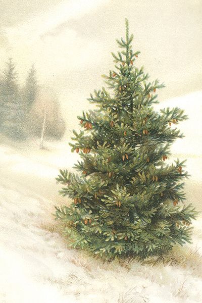 Sköna Ting enkle kort 25-pakk