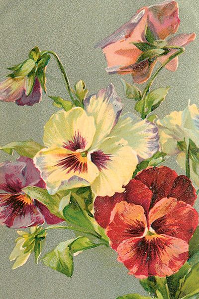 Sköna Ting enkle kort 25-pakk