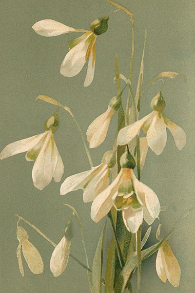 Sköna Ting enkle kort 25-pakk