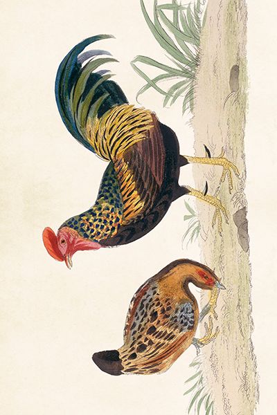 Sköna Ting enkle kort 25-pakk