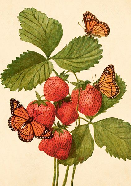 Sköna Ting doble kort