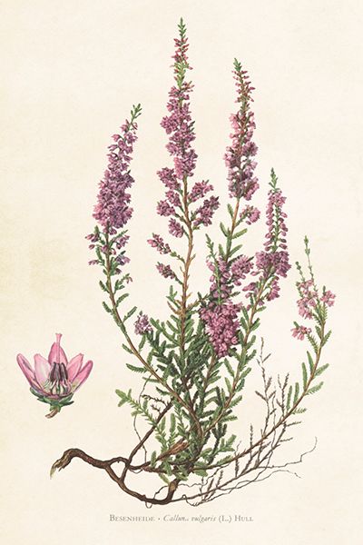 Sköna Ting enkle kort 25-pakk