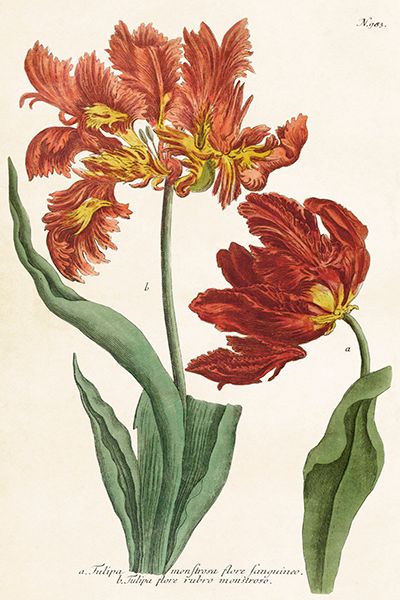 Sköna Ting enkle kort 25-pakk