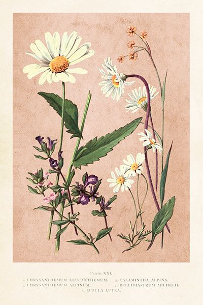 Sköna Ting enkle kort 25-pakk