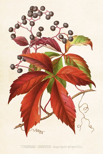 Sköna Ting enkle kort 25-pakk