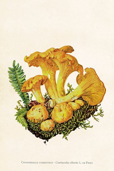 Sköna Ting enkle kort 25-pakk