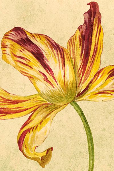 Sköna Ting enkle kort 25-pakk