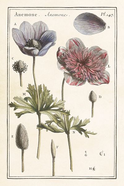 Sköna Ting enkle kort 25-pakk