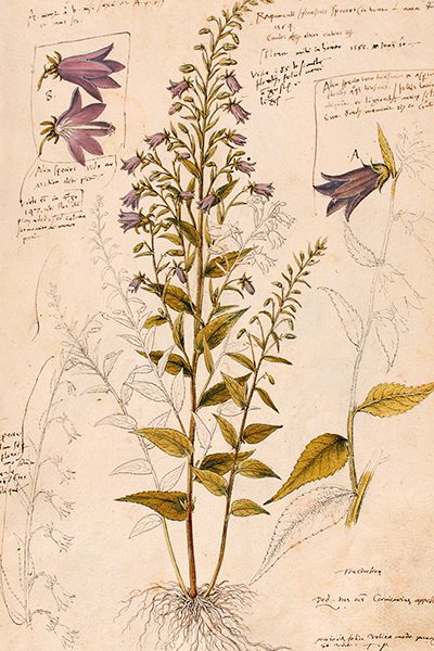 Sköna Ting enkle kort 25-pakk