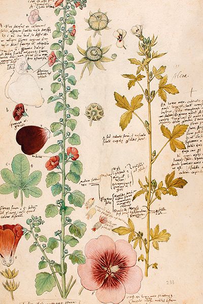 Sköna Ting enkle kort 25-pakk