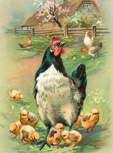 Sköna Ting medium doble 12-pakk