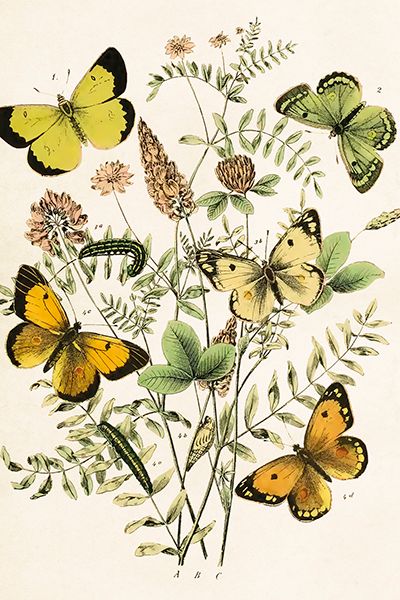 Sköna Ting enkle kort 25-pakk