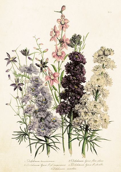 Sköna Ting doble kort