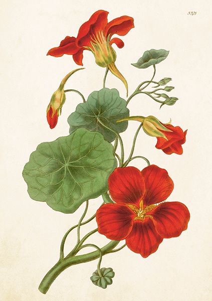 Sköna Ting doble kort