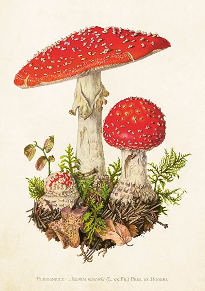 Sköna Ting doble kort