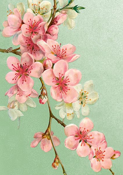 Sköna Ting doble kort