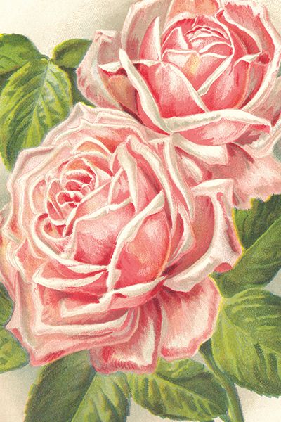 Sköna Ting enkle kort 25-pakk