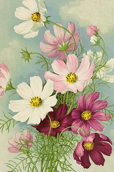 Sköna Ting enkle kort 25-pakk