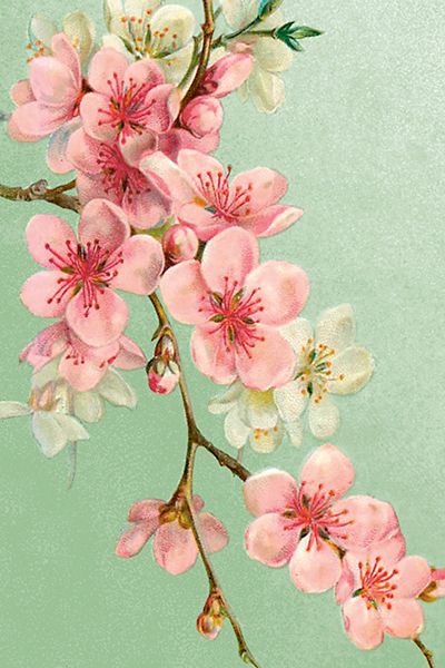 Sköna Ting enkle kort 25-pakk