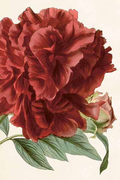 Sköna Ting enkle kort 25-pakk