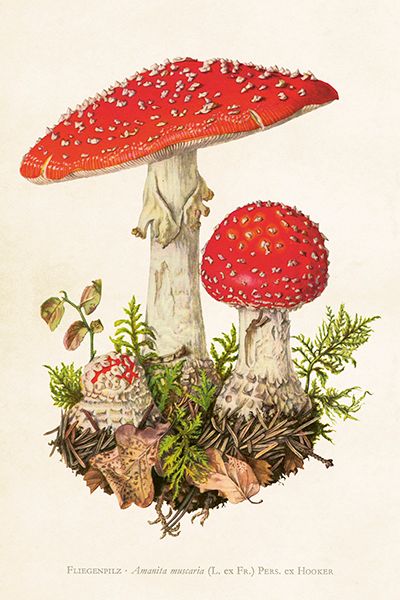 Sköna Ting enkle kort 25-pakk