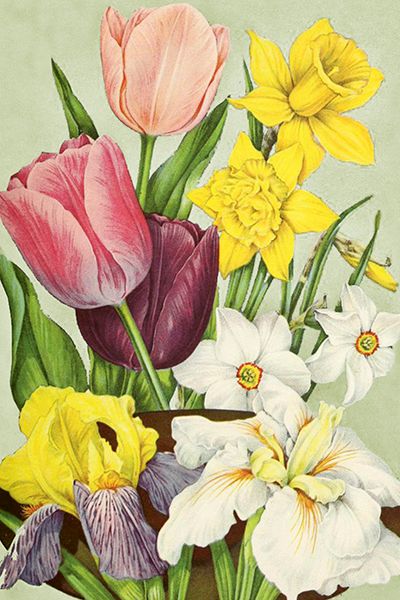 Sköna Ting enkle kort 25-pakk