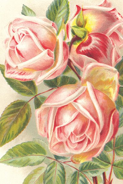 Sköna Ting enkle kort 25-pakk