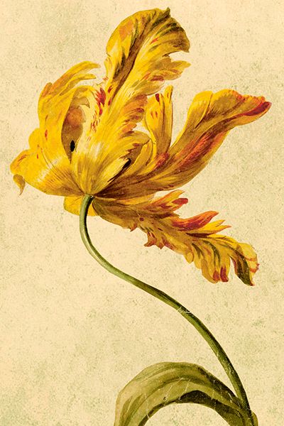 Sköna Ting enkle kort 25-pakk