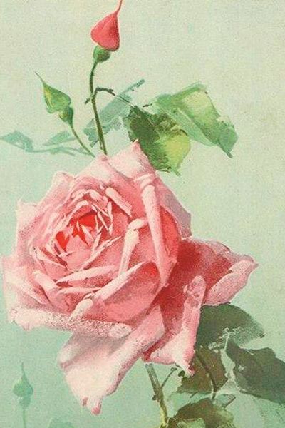 Sköna Ting enkle kort 25-pakk