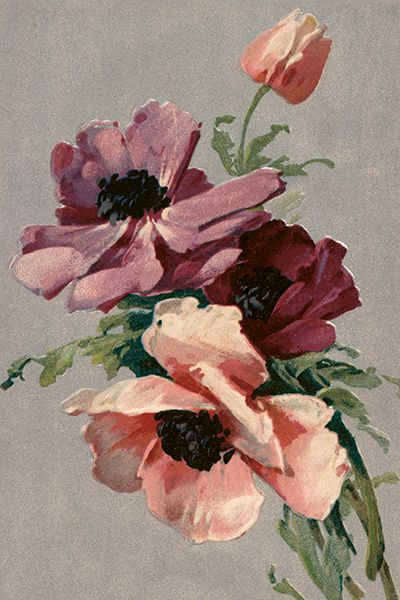 Sköna Ting enkle kort 25-pakk