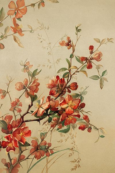 Sköna Ting enkle kort 25-pakk