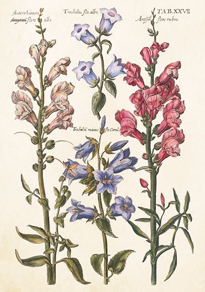 Sköna Ting doble kort