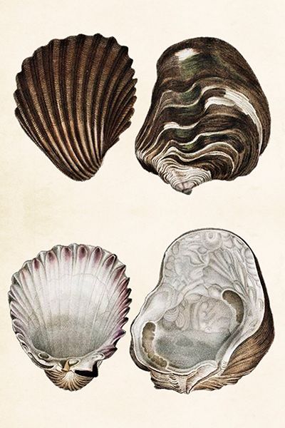 Sköna Ting enkle kort 25-pakk