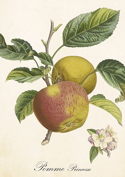 Sköna Ting doble kort